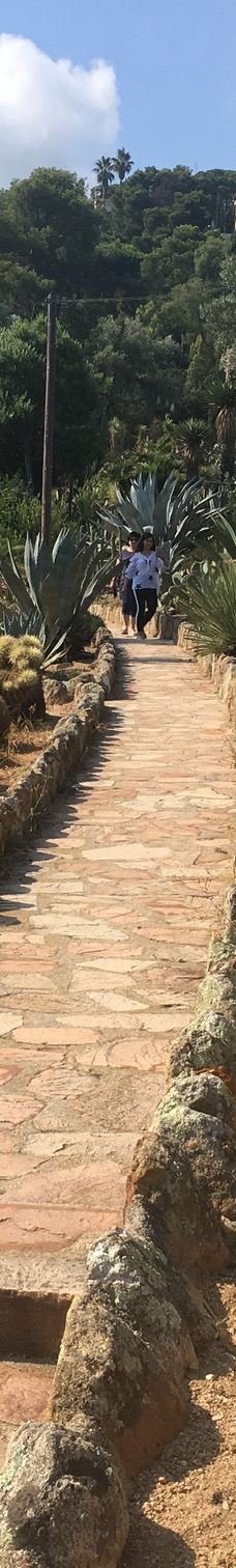 Jardí Botànic Tropical Paratge Pinya de Rosa-布拉内斯