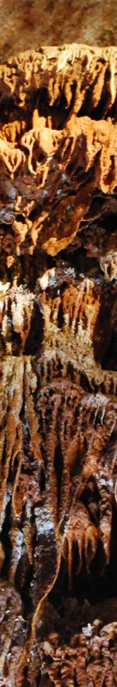 Jama - Grotta Baredine-Gedici