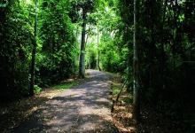 Parque Ambiental Chico Mendes景点图片