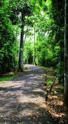 Parque Ambiental Chico Mendes-里奥布朗库