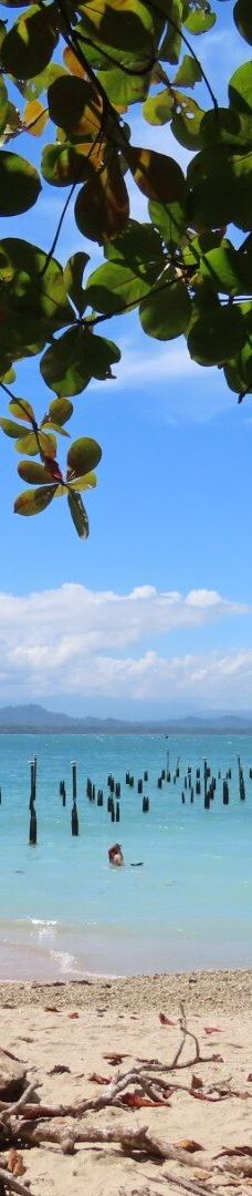 卡维塔国家公园-Talamanca