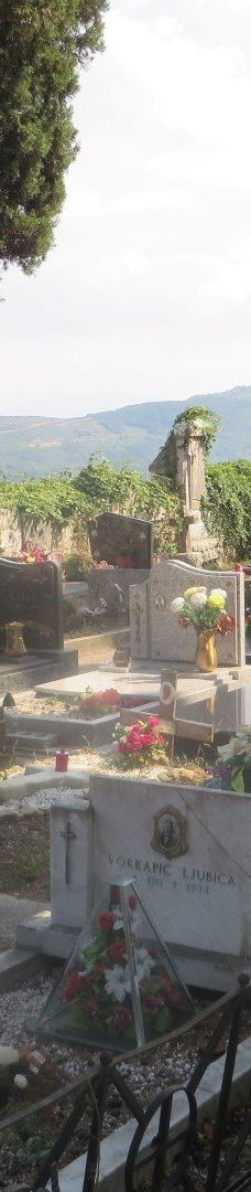 Motovun cemetery-莫托文