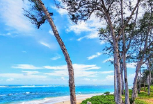 Kokololio Beach Park景点图片