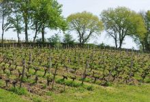 Domaine de Chastelet景点图片