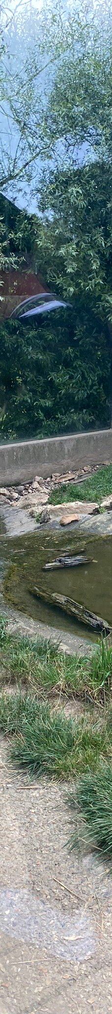 Biotropica, animal gardens-瓦德勒伊