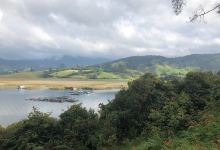科查湖景点图片