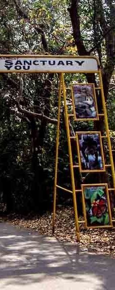 Cotigao保护区-南果阿县