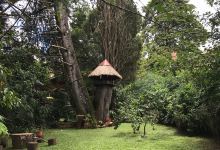 Casa dos Beija Flores景点图片