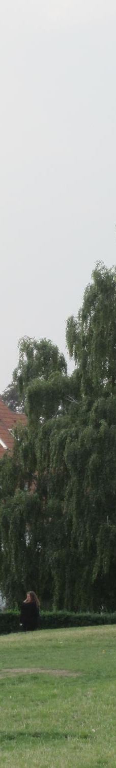 Danmarks Borgcenter-沃尔丁堡