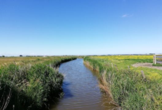 Uitkerkse Polder景点图片