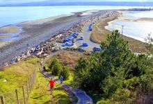 Goose Spit Park景点图片