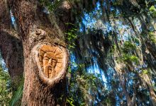 Tree Spirits Saint Simons Island景点图片