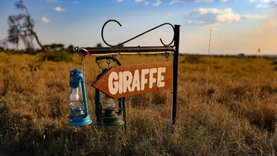 Serengeti Heritage