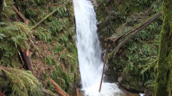Burnett Falls Park