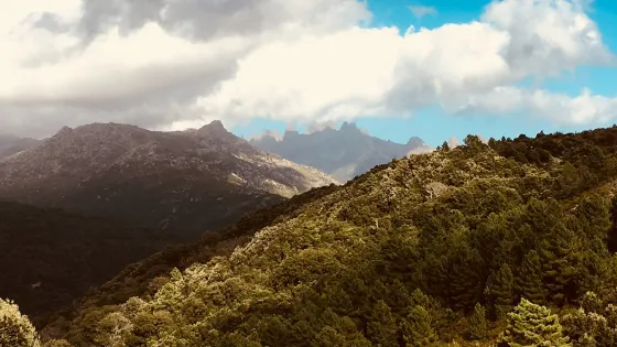 Alta Rocc'Anes