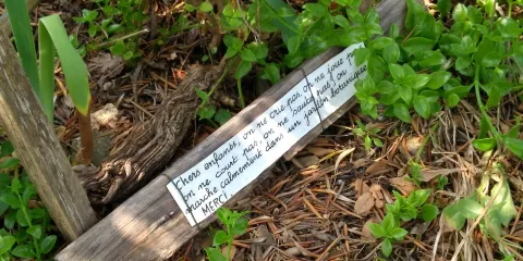 Jardin Remarquable l'Hardy - Denonain