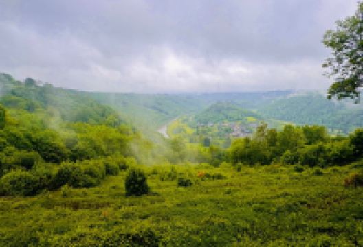 Point de vue sur Frahan景点图片