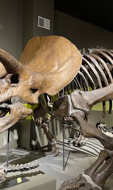 布法罗科学博物馆-布法罗