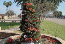 Bicentennial Plaza景点图片