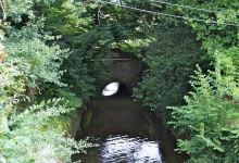 Ruisseau du Moulin du Fèvre景点图片