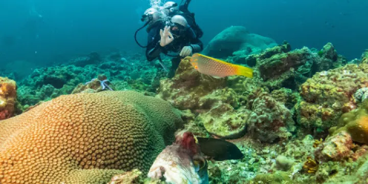 Ko Lanta Diving Center