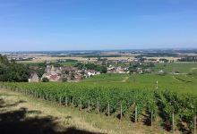 Parc Noisot景点图片