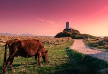 Goleudy Tŵr Bach景点图片