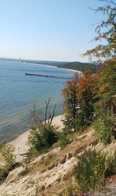 Kępa Redłowska-格丁尼亚