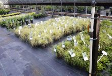 Outdoor Environments Inc购物图片