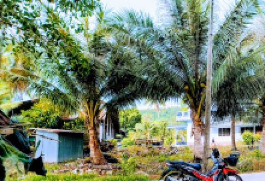 Chao Mae Tubtim Shrine景点图片