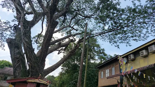 林明3D畫廊館