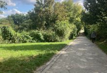 Parc a chien景点图片