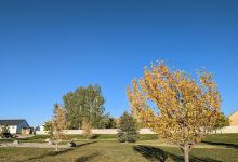 Woodland Hills Park景点图片