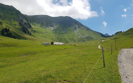 Alp-Schaukäserei Riggisalp