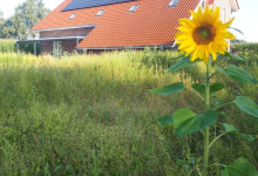 Hinrichs Günter landwirtschaft景点图片