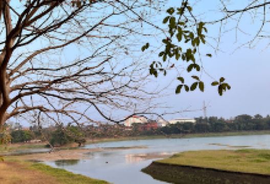 Manipal Lake景点图片