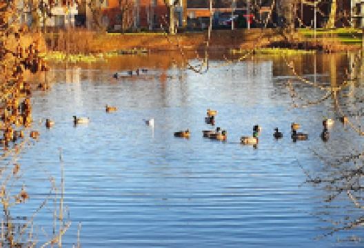 Play Area景点图片