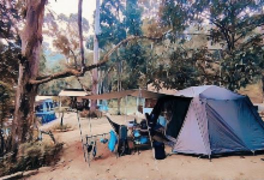 Bamboo King's Campsite景点图片