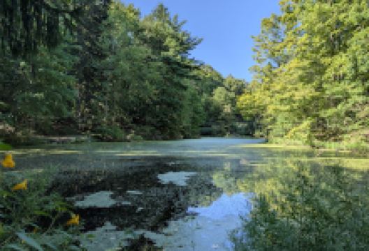 Plum Creek Park North景点图片