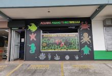 Acuario Triple A景点图片
