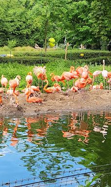 海德堡动物园-海德堡