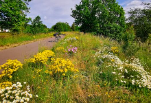 Vennbahn Radweg Montenau景点图片