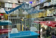 Excellent Aquarium,Pala购物图片