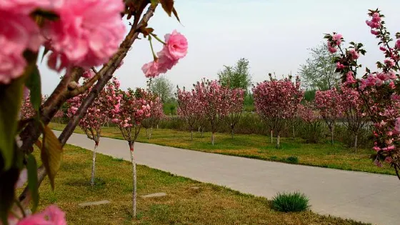 秋實公園