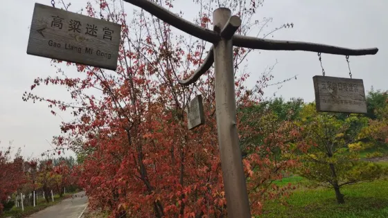 燈塔迷宮花園