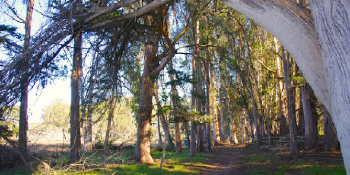 Sweet Springs Nature Preserve