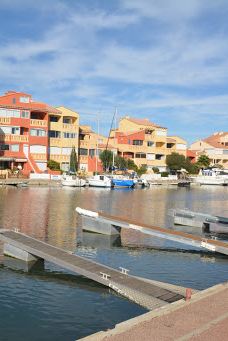The pine forest of Le Barcarès-勒巴尔卡雷