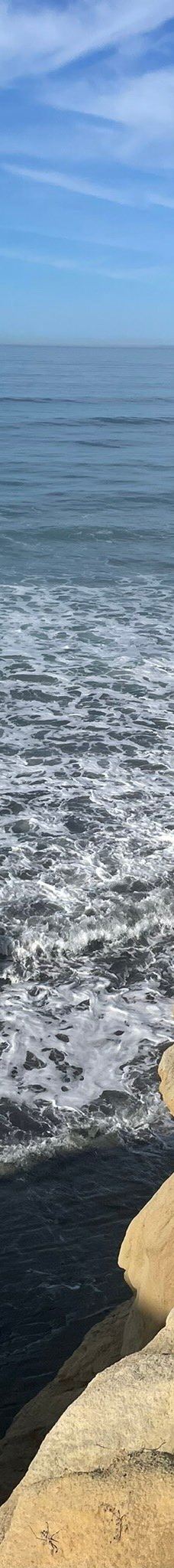 多利松国家自然保护区-佐拉