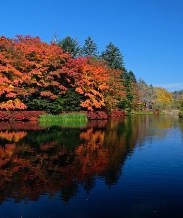 2D • Two-day tour of Tokyo and Karuizawa, Japan, excluding hotel accommodation