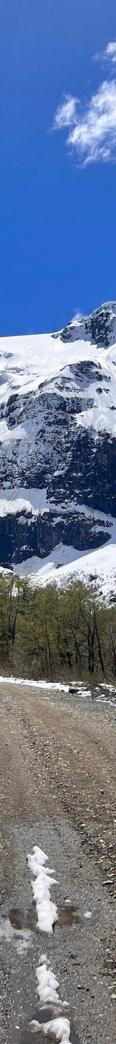 Ventisquero Negro-巴里洛切县